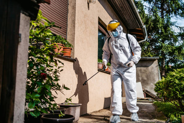 Best Termite Control Services  in Lynwood, CA
