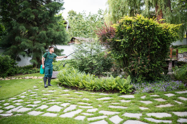 Best Bird Control  in Lynwood, CA