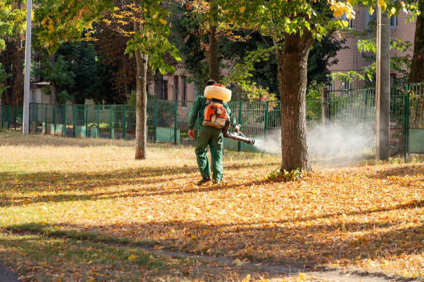 Best Cockroach Control Services  in Lynwood, CA